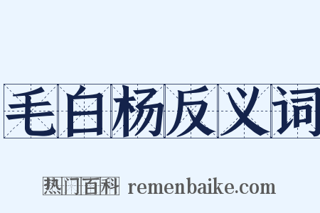 毛白杨反义词是什么意思的图片
